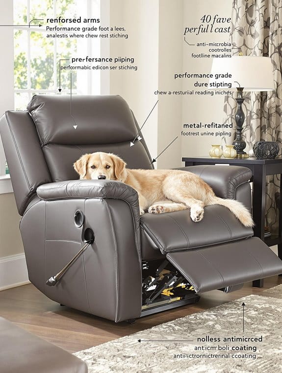 dog friendly living room recliner